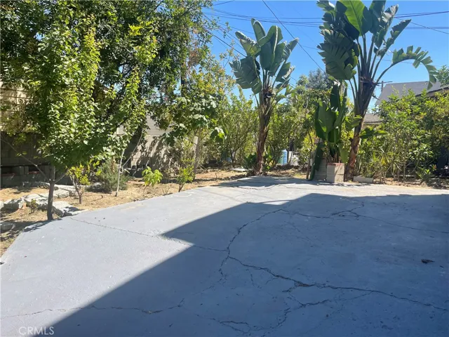 Private Backyard