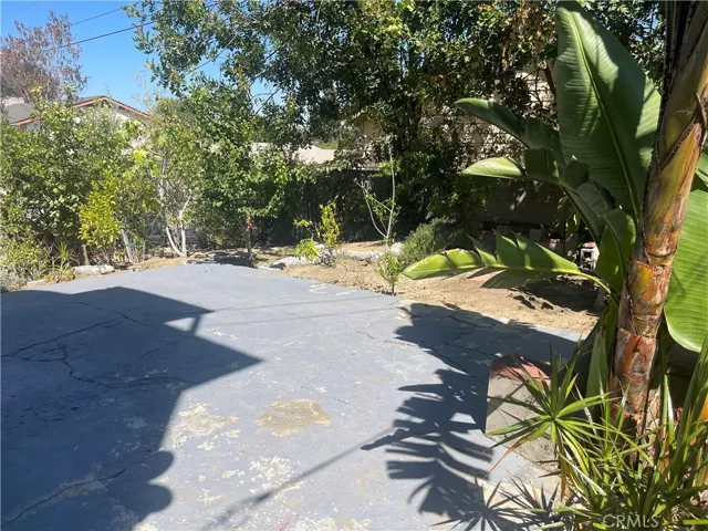 Private Backyard