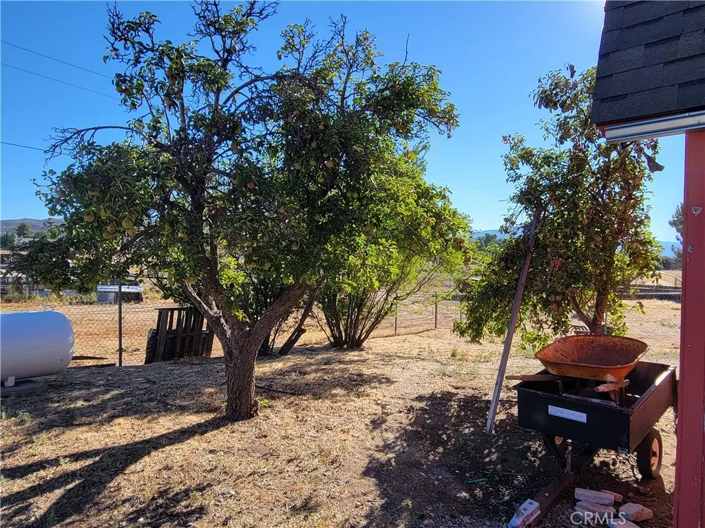 59120 Coyote Canyon Road, Anza, California 92539 home-pic-56