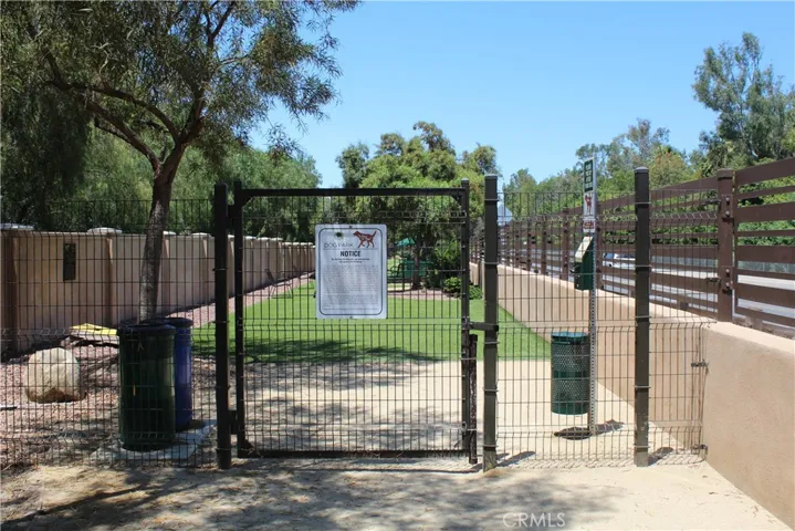 Our Very Own Dog Park.