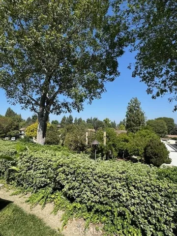 Nice Panoramic View.