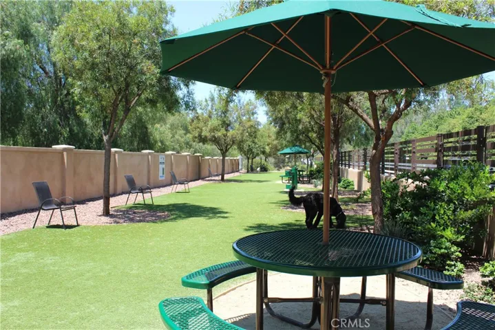 Dog Park.