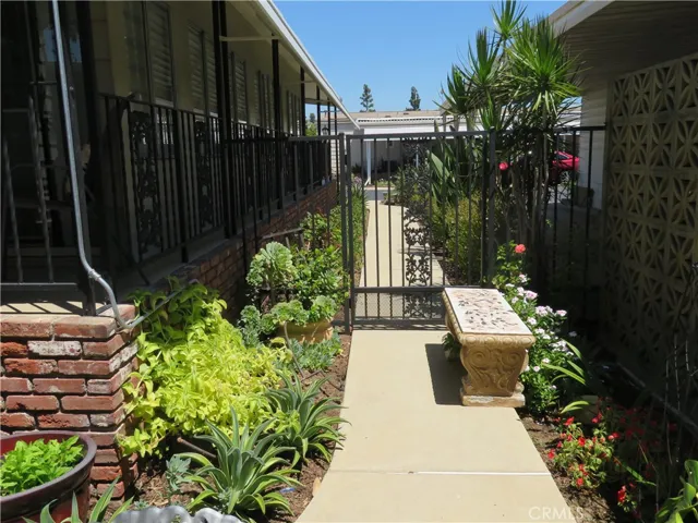 Walk Way