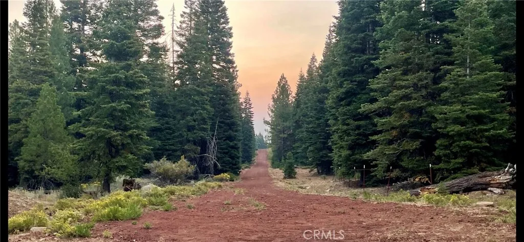 Dirt road leading toward the parcel site