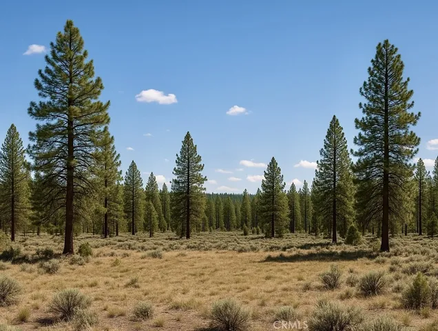0 California Pines Blvd, Alturas, California 96101