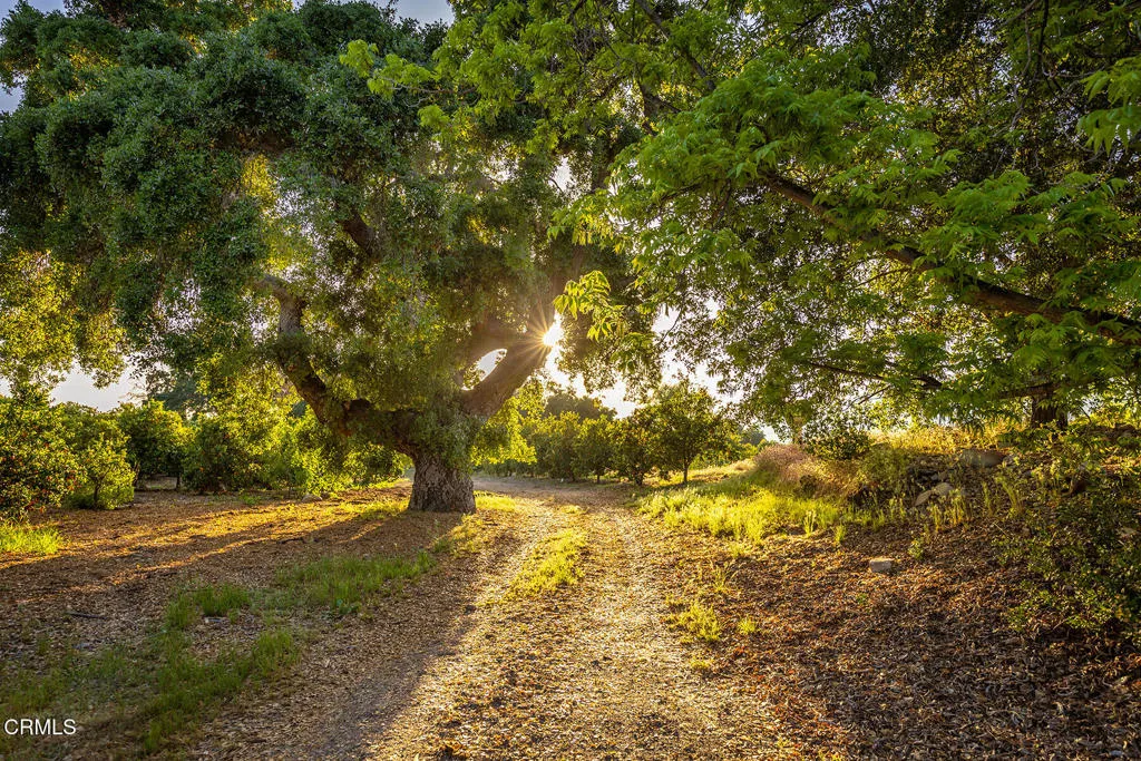 3359 Reeves Road, Ojai, California 93023 home-pic-23