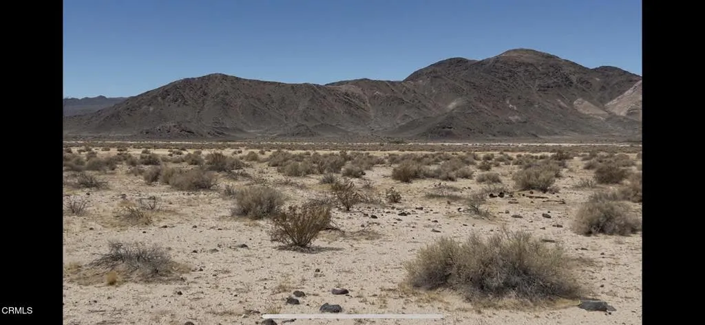 4.6 Acres View