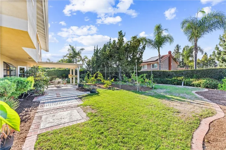 large open backyard with several fruit trees