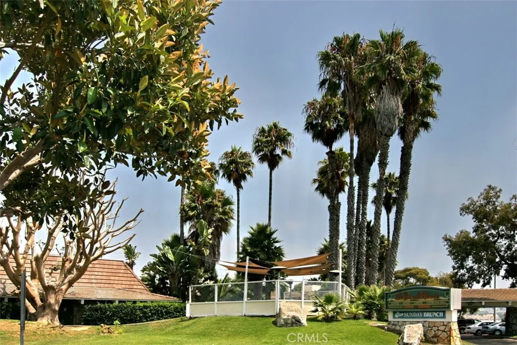 33611 Dana Vista Drive 31, Dana Point, California 92629 home-pic-41