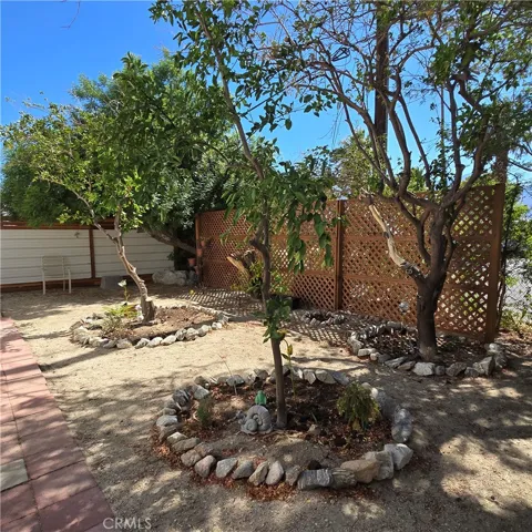 Backyard with fruit trees and drip irrigation