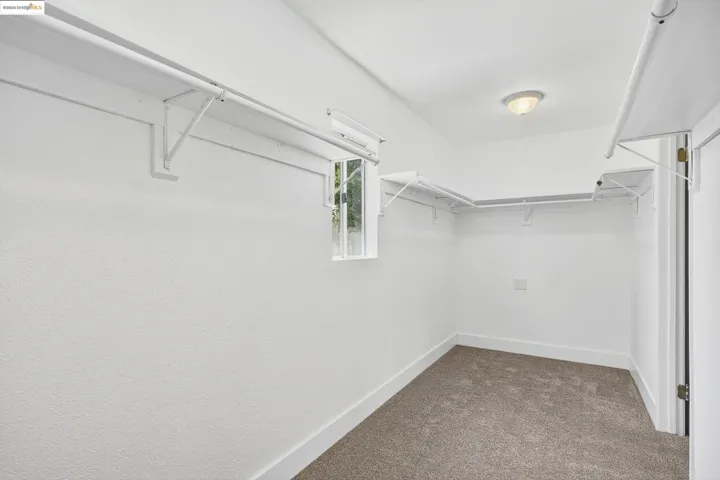 Walk in closet with carpet floors