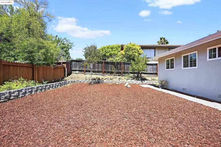 View of fenced backyard