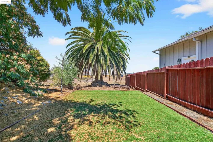 View of fenced backyard