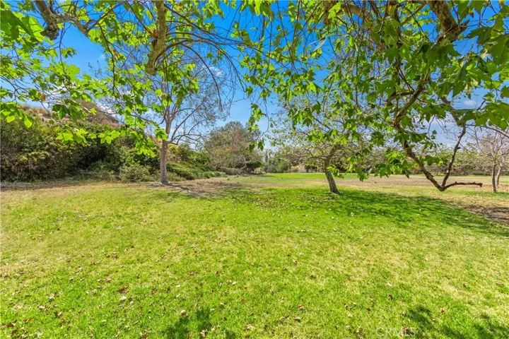 19224 Alamo Ln, Yorba Linda, California 92886