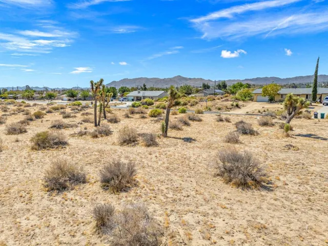 12-web-or-mls-DJI_20250805103639_0072_D