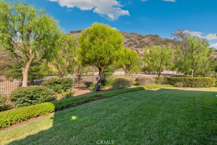 Backyard.