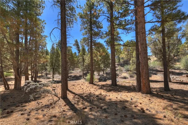 2308 Manzanita Lane, Big Bear City, California 92314