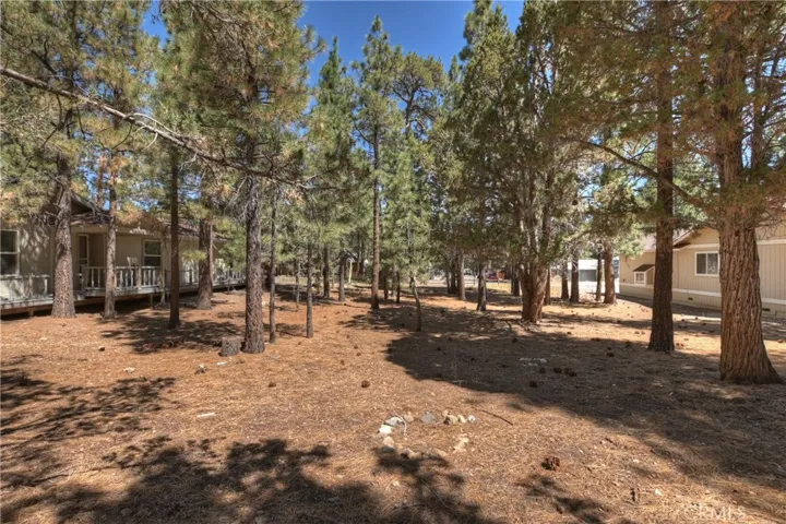 2308 Manzanita Lane, Big Bear City, California 92314
