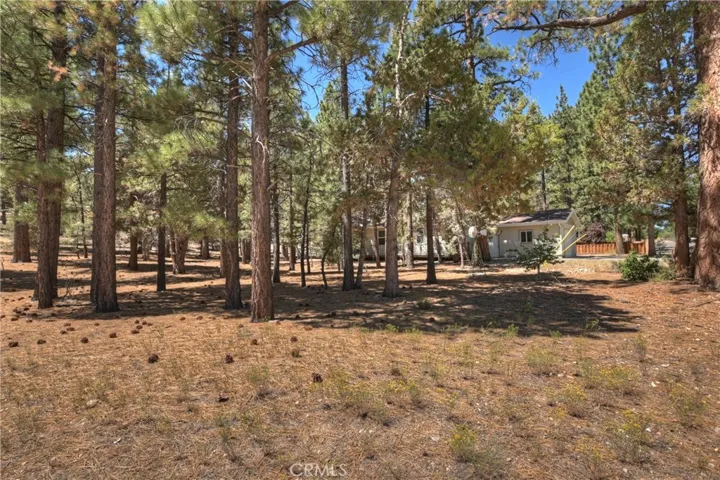 2308 Manzanita Lane, Big Bear City, California 92314