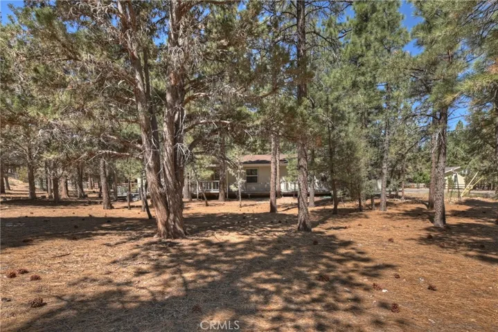2308 Manzanita Lane, Big Bear City, California 92314