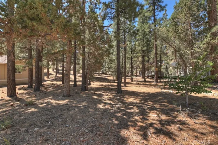 2308 Manzanita Lane, Big Bear City, California 92314