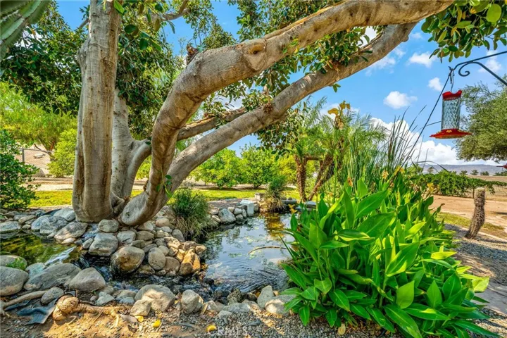 Beautiful koi pond is well maintained for lovely ambiance.