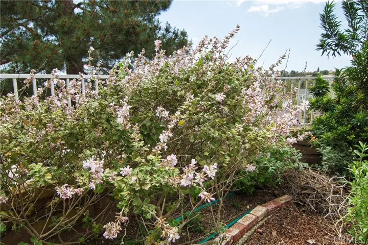 28242 Elmwood, Mission Viejo, California 92692