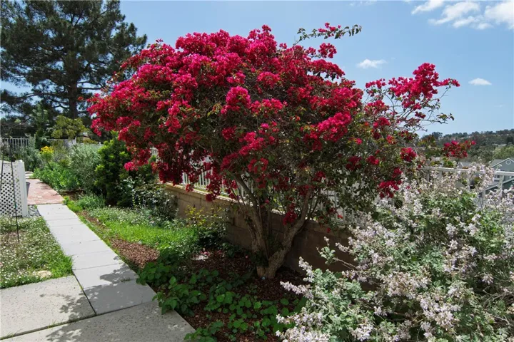 28242 Elmwood, Mission Viejo, California 92692