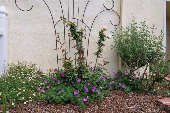 28242 Elmwood, Mission Viejo, California 92692
