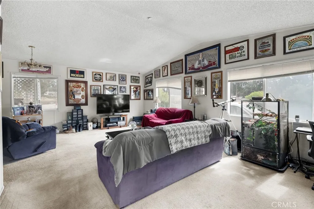 MH -Living Area