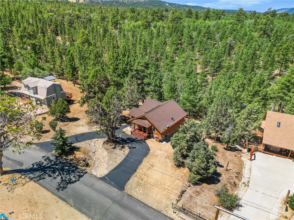 298 Dixie Lee Lane, Big Bear Lake, California 92386 home-pic-32