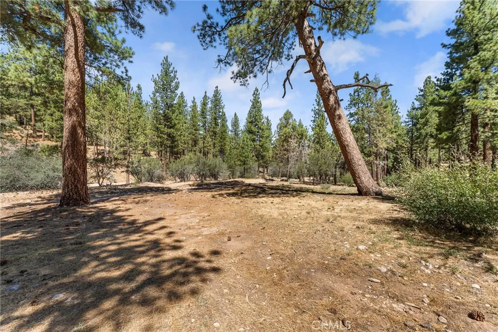 298 Dixie Lee Lane, Big Bear Lake, California 92386 home-pic-41