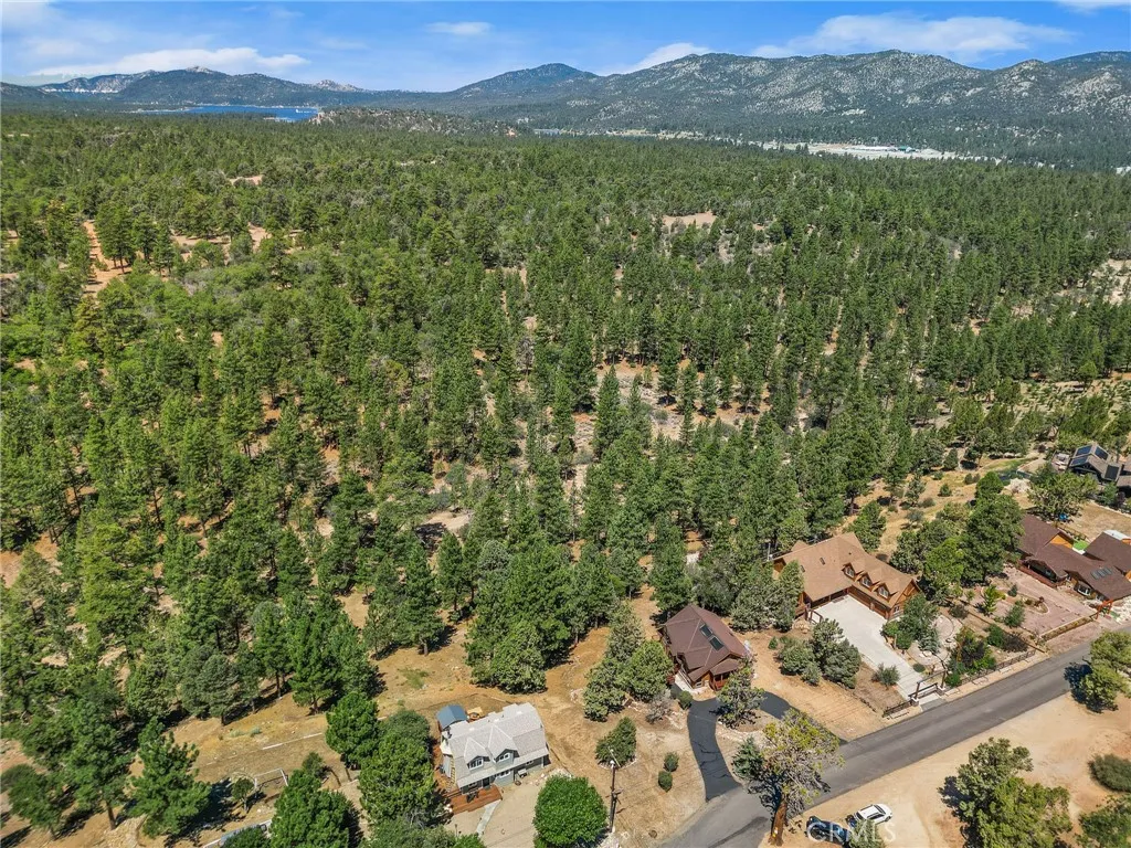 298 Dixie Lee Lane, Big Bear Lake, California 92386 home-pic-38