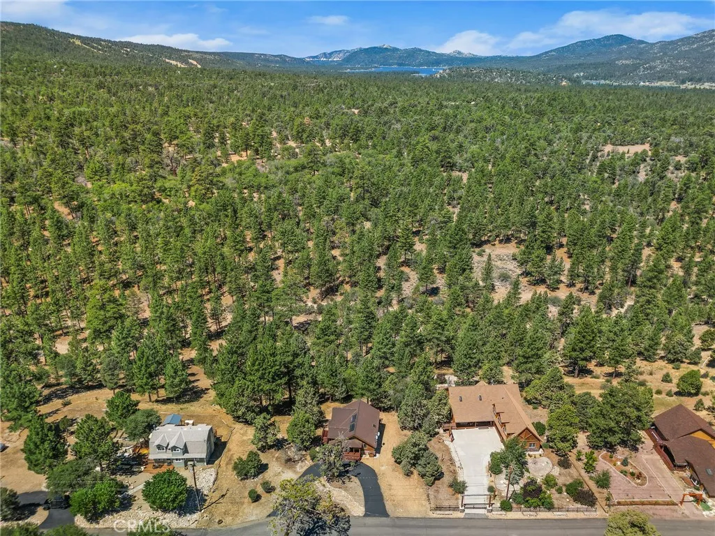 298 Dixie Lee Lane, Big Bear Lake, California 92386 home-pic-40
