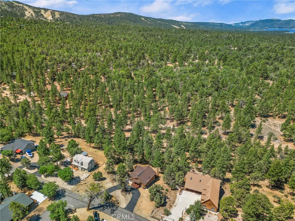 298 Dixie Lee Lane, Big Bear Lake, California 92386 home-pic-37