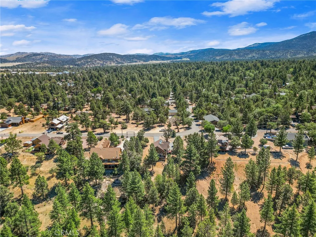 298 Dixie Lee Lane, Big Bear Lake, California 92386 home-pic-39