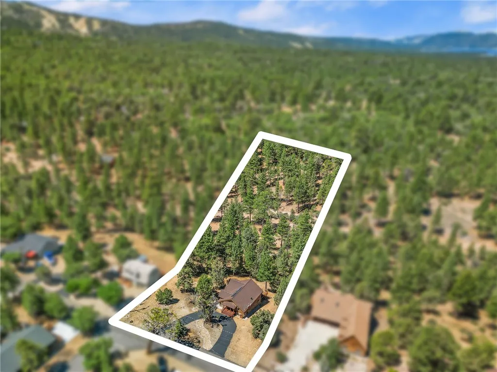 298 Dixie Lee Lane, Big Bear Lake, California 92386 home-pic-36