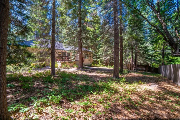 396 Washington Place, Mount Shasta, California 96067