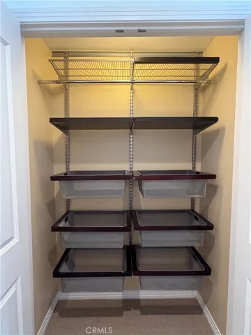 PRIMARY SUITE CLOSET 1