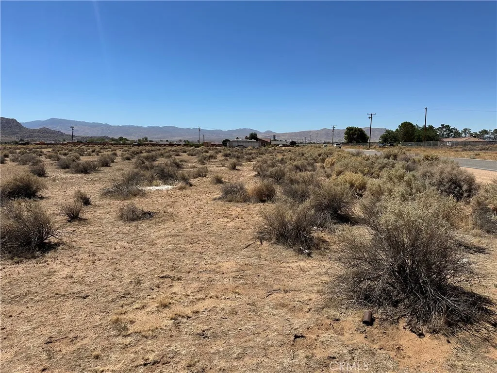 Looking south on lot