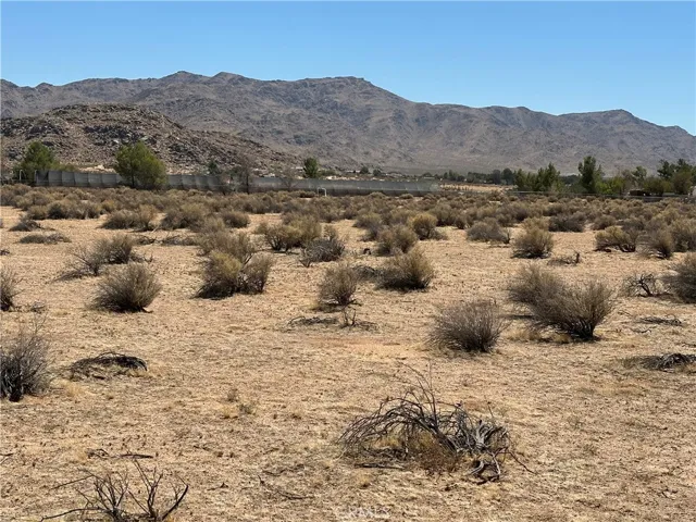 Eastern view of lot.  Fence in distance is back eastern edge of property