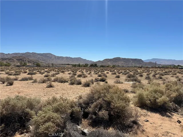 Looking east on lot