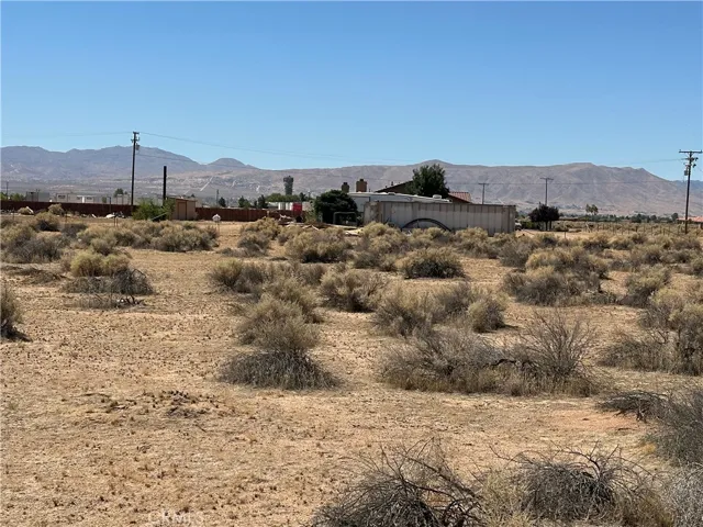 Southern view of lot showing southern edge of property line along neighboring property