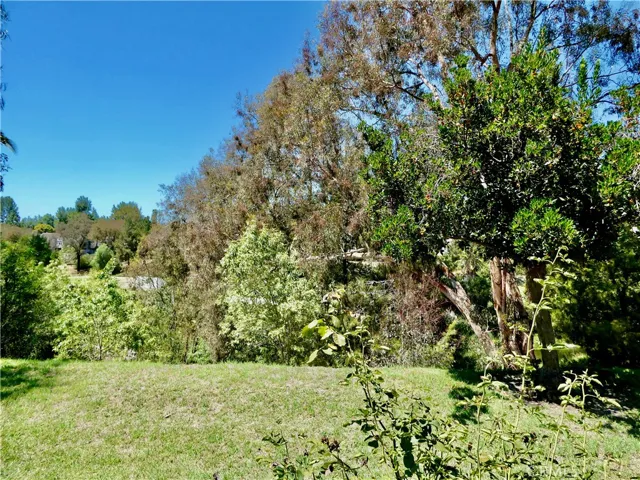View from Master Bedroom