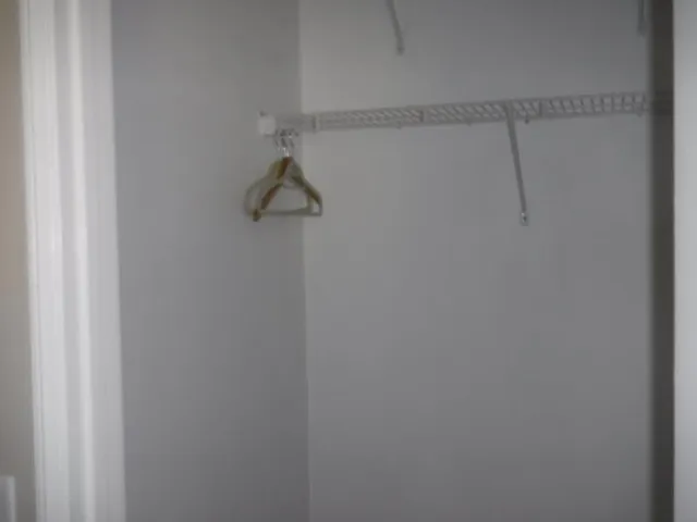 DSCF7513