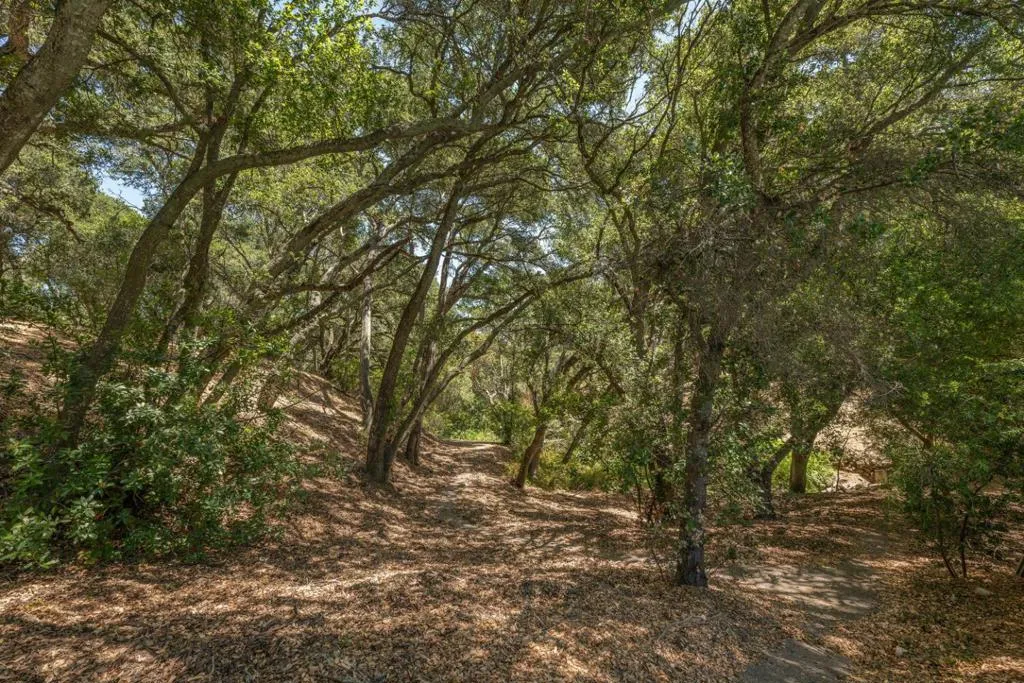 333 Raymundo Drive, Woodside, California 94062 home-pic-64