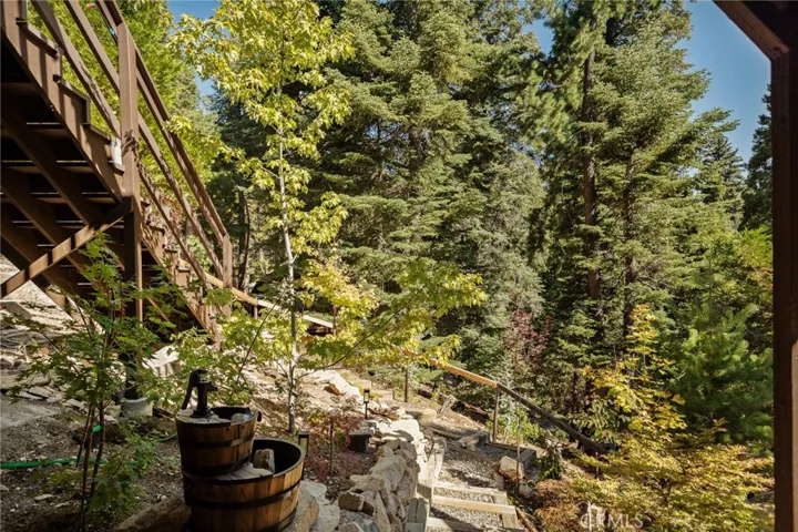 Lush Forested Surroundings!!!