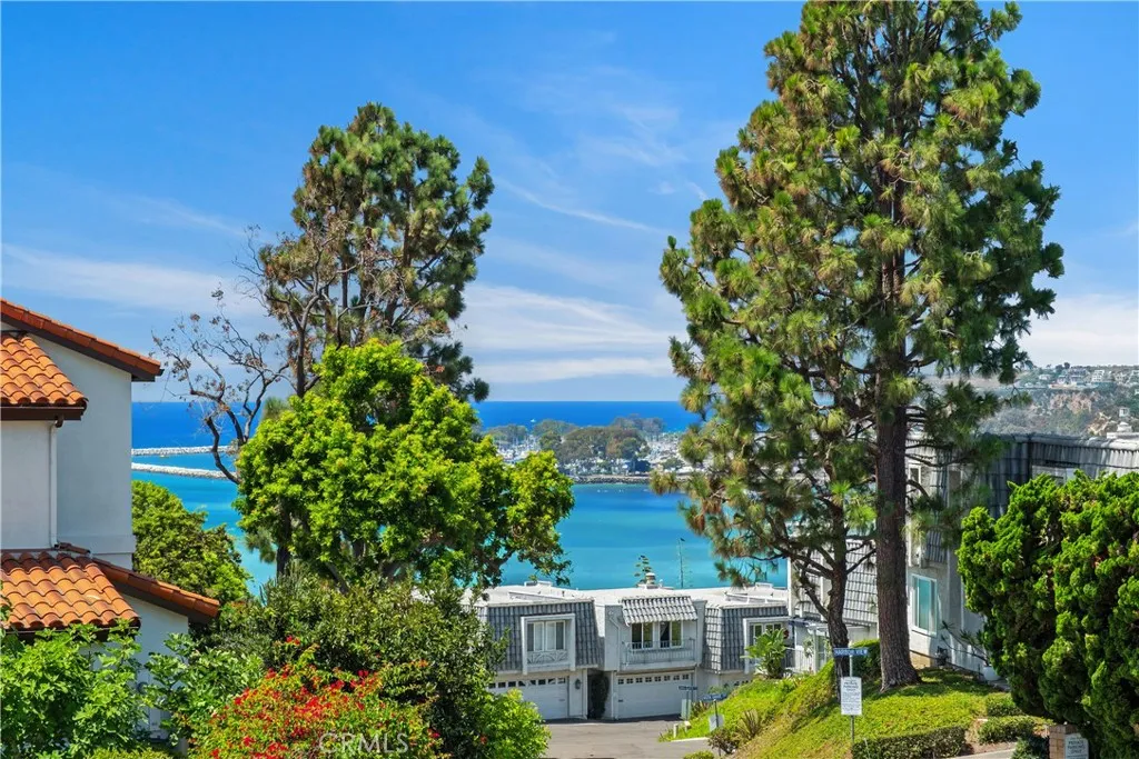 34532 Camino Capistrano, Dana Point, California 92624 home-pic-29