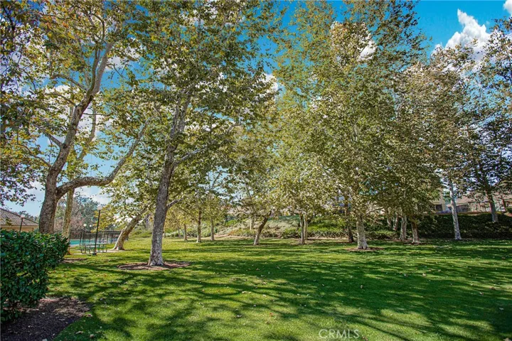 25112 Danabirch, Dana Point, California 92629