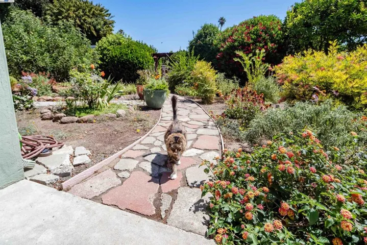4670 Eggers Dr, Fremont, California 94536